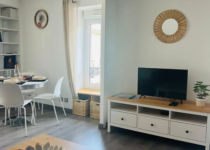 Le Cosy De La Dent Du Chat - Classe 3 Etoiles - Hyper Centre Aix Les Bains
