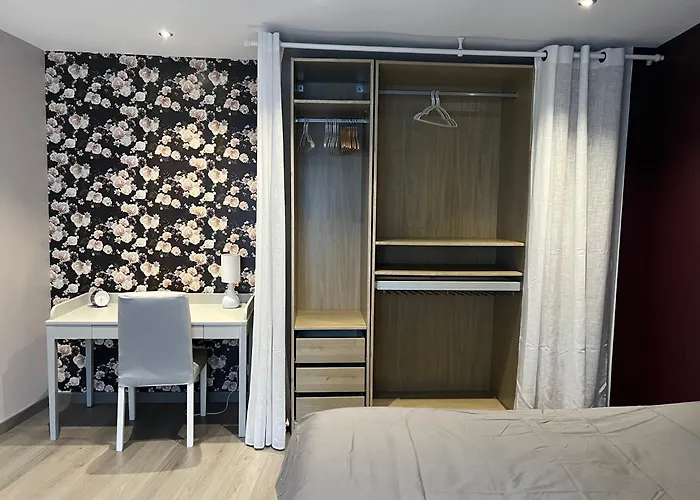 Le Cosy De La Dent Du Chat - Classe 3 Etoiles - Hyper Centre Aix Les Bains